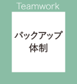 Teamwork バックアップ体制