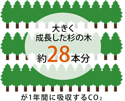 消費電力と料金はどうなるの？