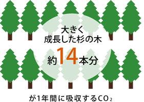 消費電力と料金はどうなるの？